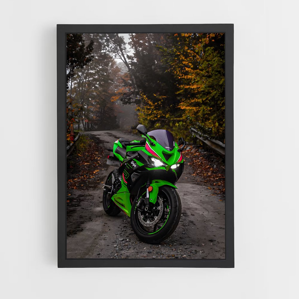 Poster Roadster Vert (vue 2)